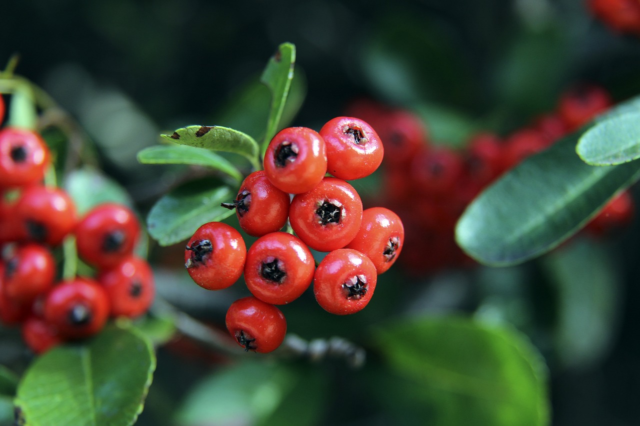 身体的硬控 身体的硬控