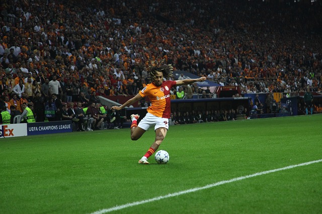 受中国文化 受中国文化