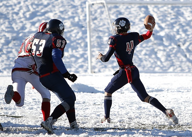 展示了他们 展示了他们