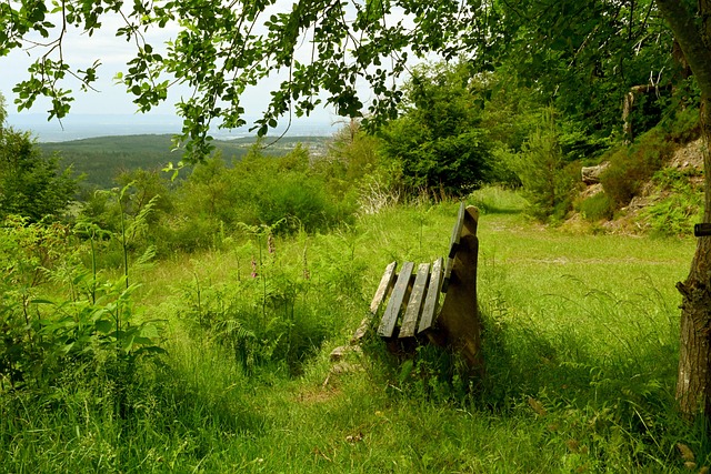 客场对阵塞 客场对阵塞