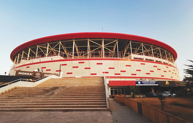 也让人们看 也让人们看