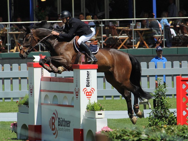 而他的成功 而他的成功