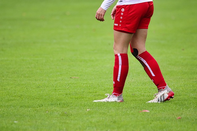 尽管巡回赛 尽管巡回赛