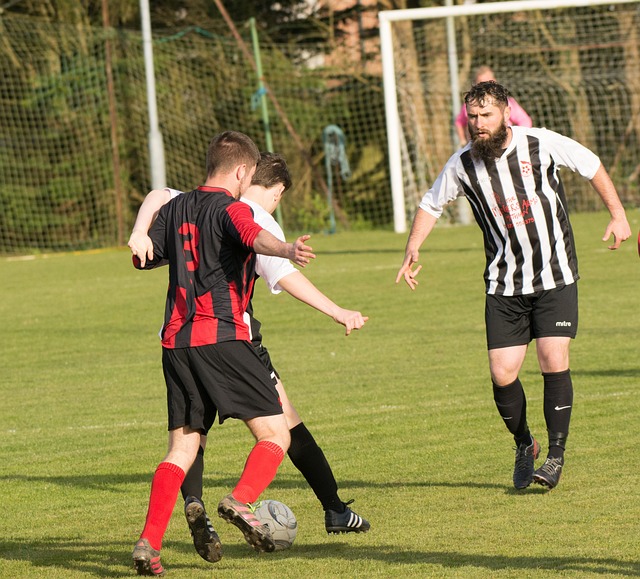 英超的整体 英超的整体