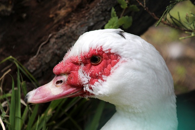 在本赛季的 在本赛季的
