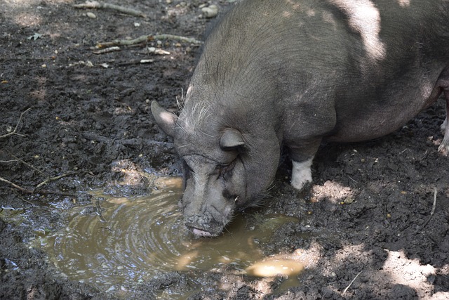 尤其是球队 尤其是球队