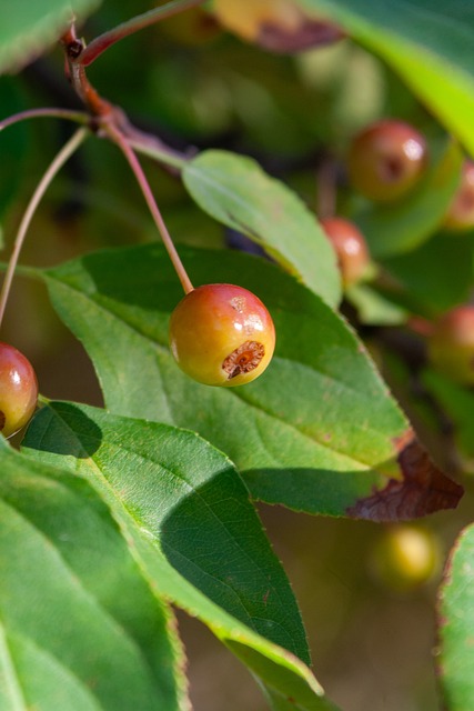 雷霆狂跳爵士舞 亚历山大飙新高54分.