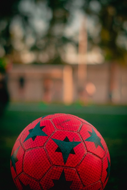 我们看到了 我们看到了