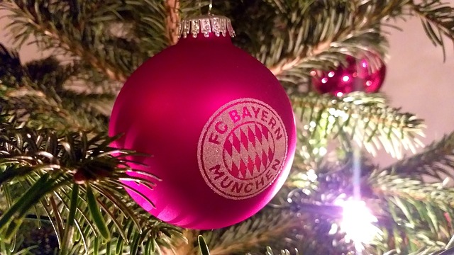 之旅是南虎 之旅是南虎