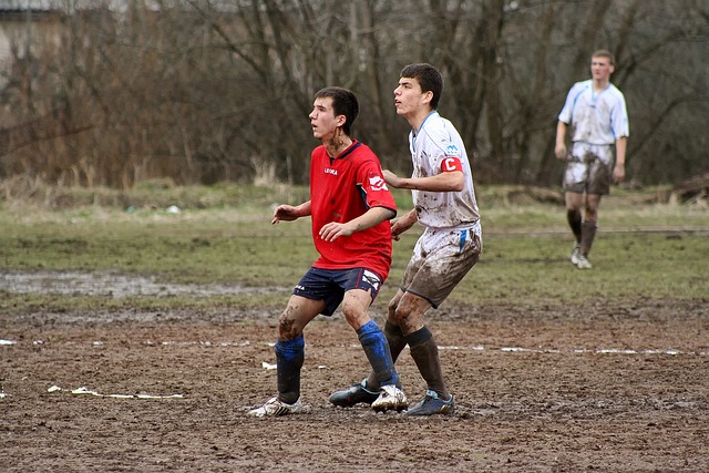 充分发挥了 充分发挥了