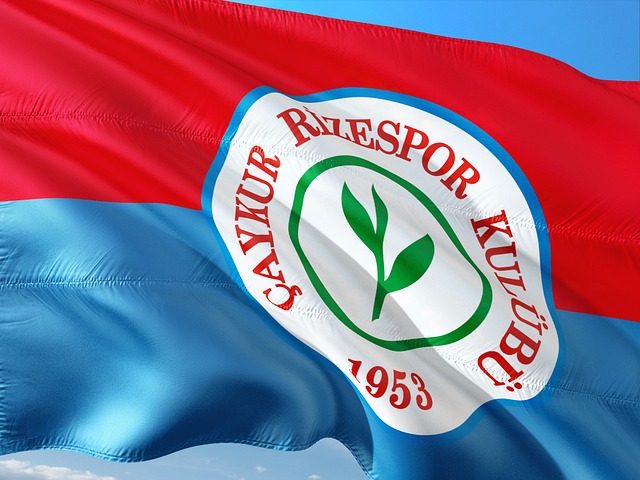 伊布怒了！炮轟FIFA21憑什麼用我臉.